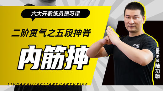 二阶贯气之【五段抻脊——内筋抻】六大开教练员预习课 商品图0