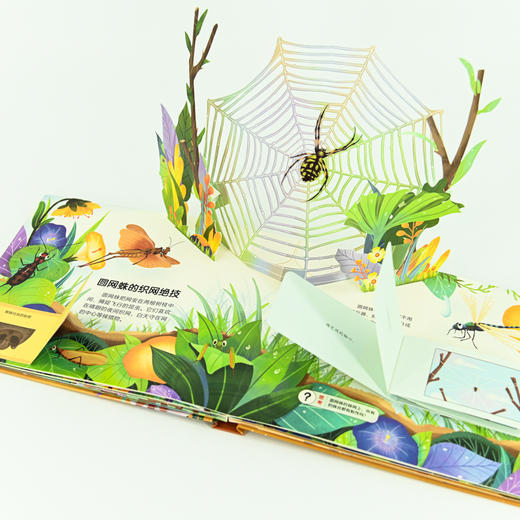 法布尔昆虫记立体书steam探索3岁儿童3d互动立体翻翻书 商品图2