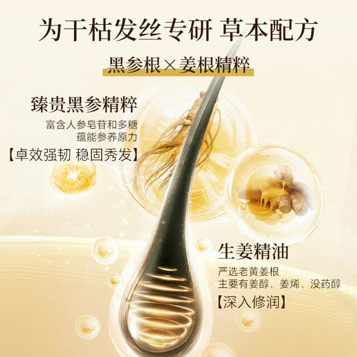 【双12大促】嘉媚乐参姜奢护蓬盈沁润精油洗发露500ml  稳固头发 强韧赋活 商品图3