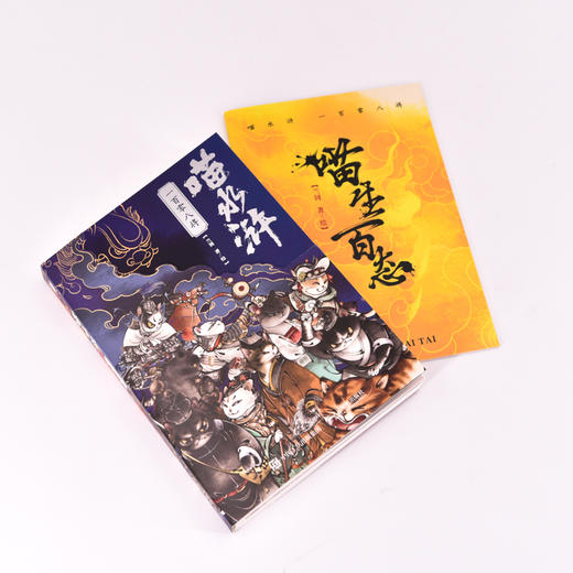 喵水浒 一百零八将  水浒传宋代喵星人绘本 水浒音频梁山好汉关系猫拟人图册四大名著 商品图12