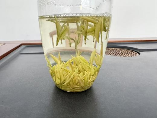 2025春 很仙很特别  黄金芽  里黄杜  别人没有的特殊嫁接方式  50克 商品图3