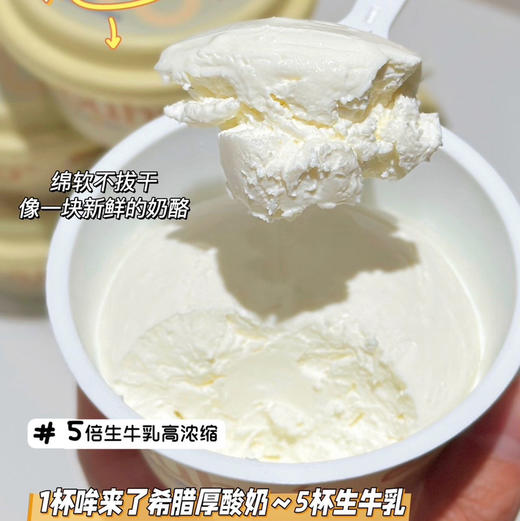 品牌直发|干噎酸奶【mooouho哞来了 希腊厚酸奶】原味+0蔗糖，质地厚实绵密，100g/杯，原味赠不锈钢酸奶勺1把，0蔗糖再加送坚果碎45g*1包 商品图0