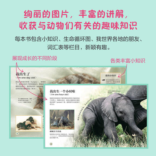DK动物成长奥秘：看！我在长大 中英双语版  *子共读书籍 儿童绘本 少儿动物科普书 动物百科全书 商品图6