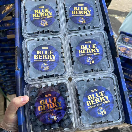 蓝莓🫐 商品图1