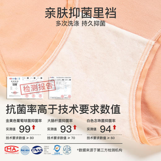 爱帝 女士棉氨中腰内裤3条装 商品图3