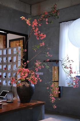 稀有小众花材杜鹃花鲜切枝条1支