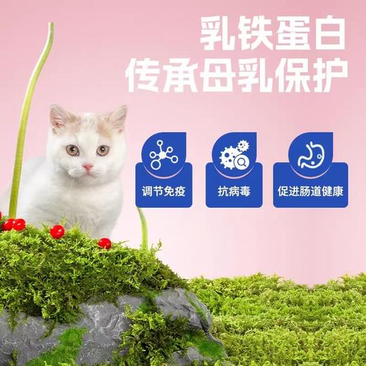 吉芙烘焙全价幼猫粮1.5kg 商品图3
