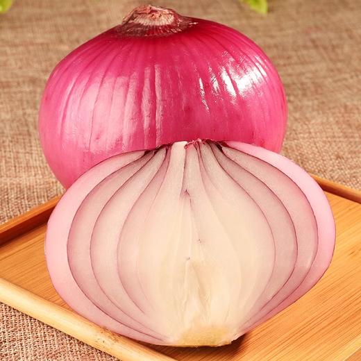 小紫洋葱约0.9~1.1kg/份 商品图1