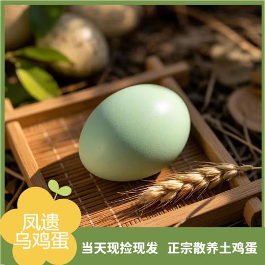 凤遗乌鸡蛋30-40枚/箱   新鲜鸡蛋当日现发   丰富蛋白质  味道鲜美  无添加无抗生素 商品图3