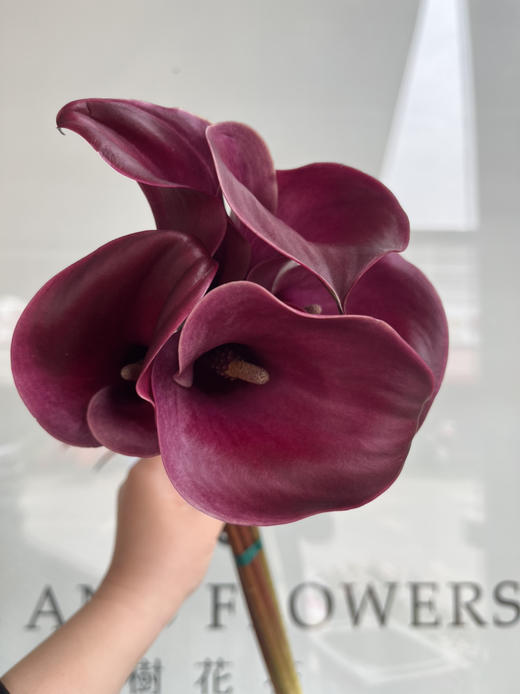 国产花材-【马蹄莲】红色魅力 商品图2