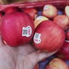 【进口】新西兰进口POSY小花苹果 脆甜多汁 商品缩略图3