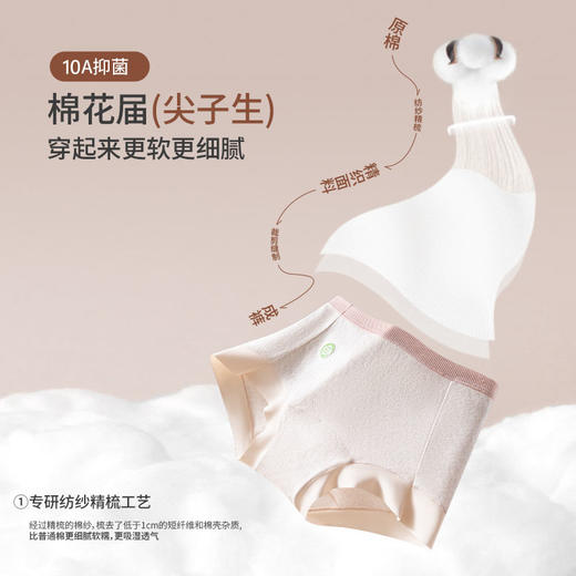 【原棉3.0】MIVECION 80S原棉小平脚内裤 80S彩棉 10A抑菌+超软面料舒适高弹贴肤，纯棉底档吸湿透气，舒适一整天 商品图2