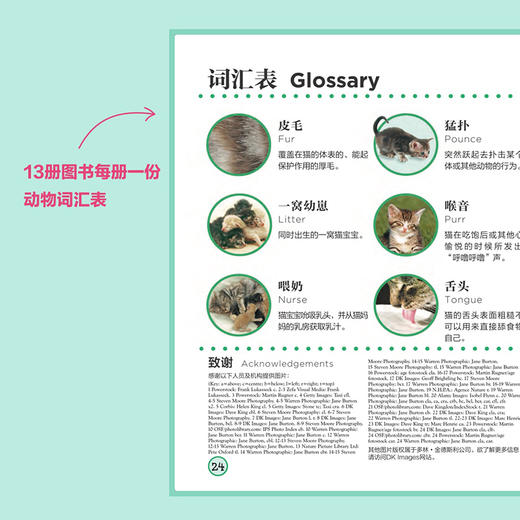 DK动物成长奥秘：看！我在长大 中英双语版  *子共读书籍 儿童绘本 少儿动物科普书 动物百科全书 商品图8