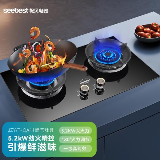 JZYT-QA11 燃气灶 商品图0
