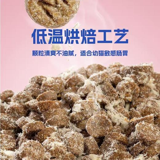 吉芙烘焙全价幼猫粮1.5kg 商品图2