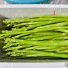 【预售，预计4.6日开始发货】露天生态芦笋（基地直发-顺丰包邮）|1kg/件，来自山东菏泽，生产者：孙喜梅【合作生产，公平贸易】 商品缩略图6