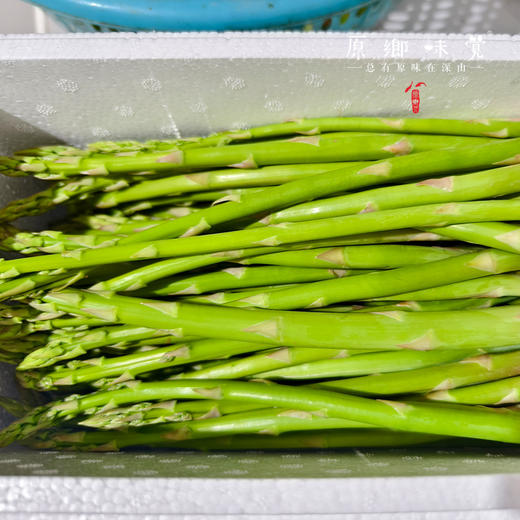 【预售，预计4.6日开始发货】露天生态芦笋（基地直发-顺丰包邮）|1kg/件，来自山东菏泽，生产者：孙喜梅【合作生产，公平贸易】 商品图6