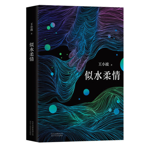 王小波：似水柔情 收录《东宫·西宫》 商品图1