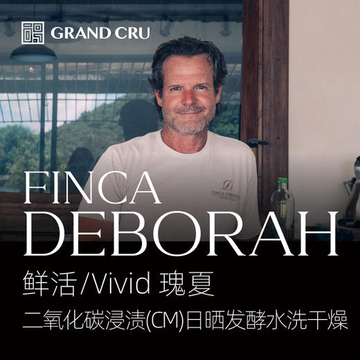 2025新产季 | 黛博拉 | Vivid 鲜活批次 | 二氧化碳浸渍(CM)日晒发酵水洗干燥 瑰夏 商品图0
