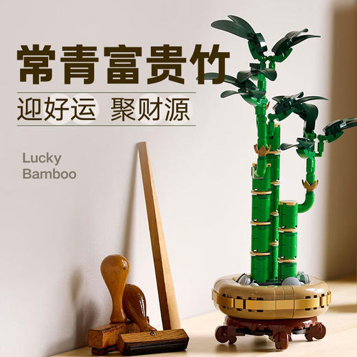 乐高积木L10344花植系列富贵竹 商品图1