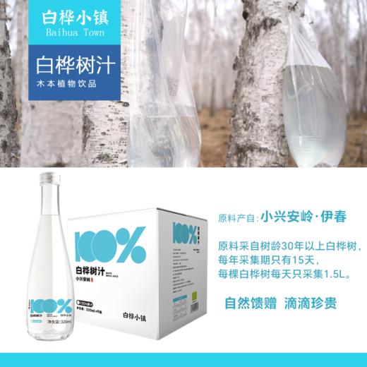 【桦树原汁320ml玻璃瓶装】产自小兴安岭白桦树自然保护区 原料只有白桦树汁 清冽甘甜 营养价值很高 商品图4