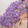 爆款【好看又实用！是花束也是毯子】铃兰玫瑰花束毯子手工毛线diy钩织材料包编织牛奶棉毛毯自制礼物。ry 商品缩略图2