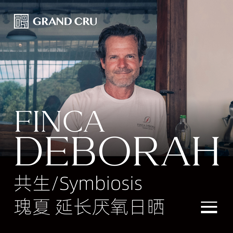 2025新产季 | 黛博拉 | Symbiosis 共生批次 | 延长厌氧日晒 瑰夏