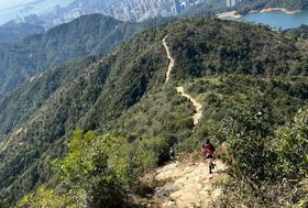 【课堂-新手必知】越野跑和路跑到底有什么不一样？