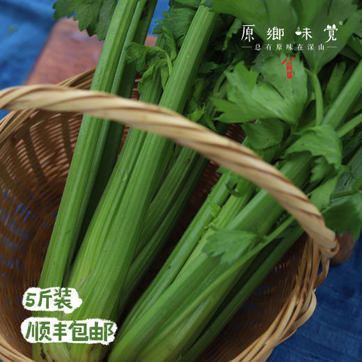 生态露天西芹【农场直发-顺丰包邮】| 3斤，5斤/箱，成都郫都区基地，【原乡农场，自产自销】 商品图1