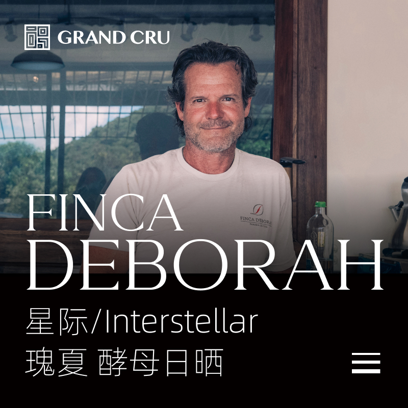 2025新产季 | 黛博拉 | Interstellar 星际批次 | 酵母日晒 瑰夏