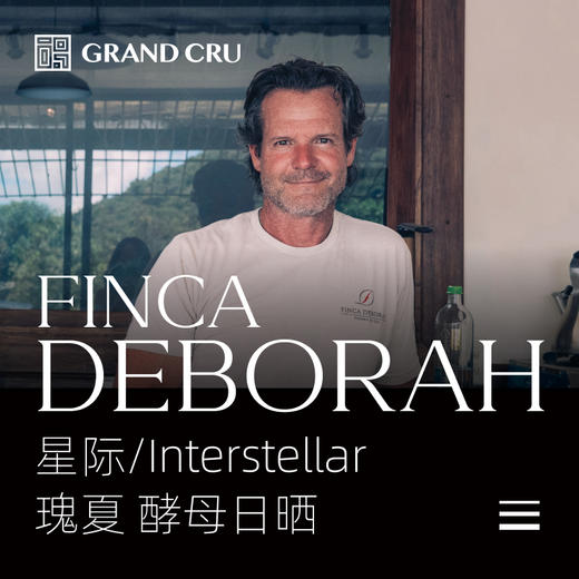 2025新产季 | 黛博拉 | Interstellar 星际批次 | 酵母日晒 瑰夏 商品图0