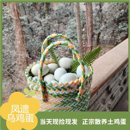 凤遗乌鸡蛋30-40枚/箱   新鲜鸡蛋当日现发   丰富蛋白质  味道鲜美  无添加无抗生素 商品图1