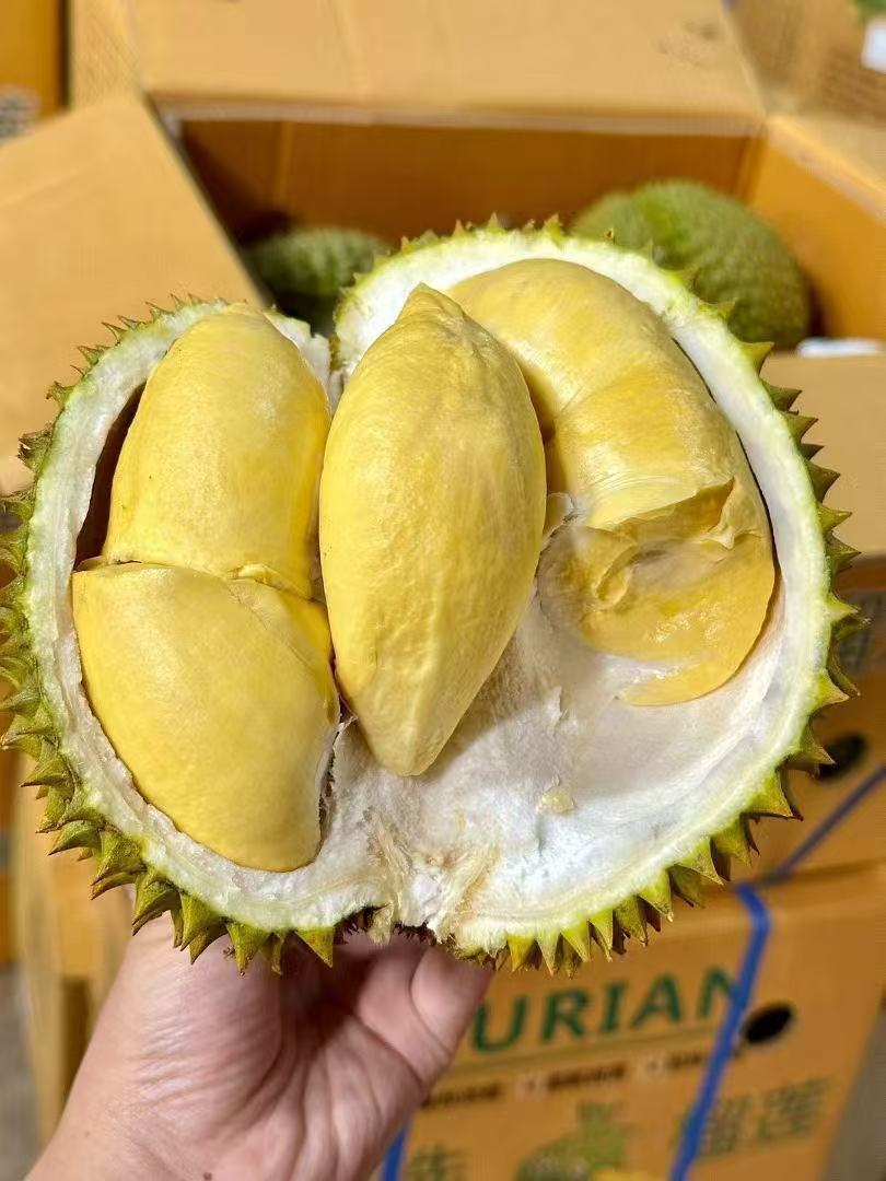 泰国进口甲仑榴莲  A级果 香甜软糯 榴莲味浓郁 口感超赞 比金枕还臭 周期短 错过等一年（下单先在详情页查看购买须知）