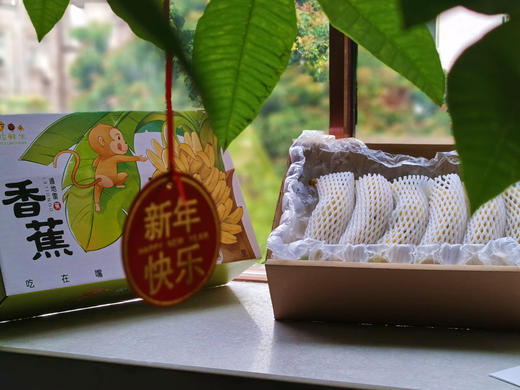 【高州遁地雷香蕉】软糯香甜，有小时候的味道 商品图0