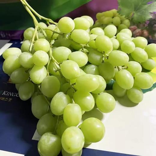 进口青提 约500g /份 商品图3