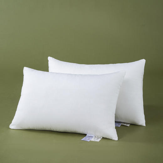 COUNTSHEEP数羊 双层提花枕芯48*74cm 商品图3