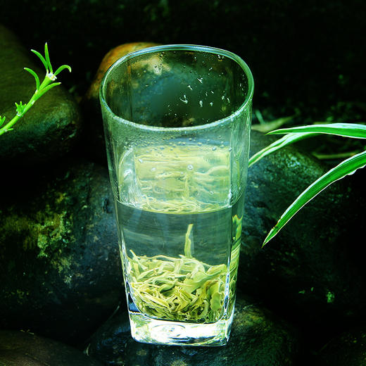 象棋山有机昭平绿茶100g/盒 商品图3