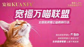 宽福-万喵联盟公益救助行动
