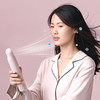 大宇 电吹风 DYCF-12W80/香缇粉/礼邮外 商品缩略图1