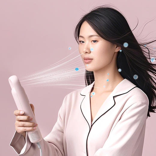大宇 电吹风 DYCF-12W80/香缇粉/礼邮外 商品图1