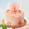 缤纷樱花 商品缩略图2