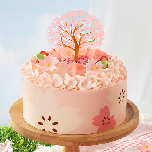 缤纷樱花 商品图2