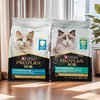 冠能成年期全价猫粮功能系列1.8kg 商品缩略图2