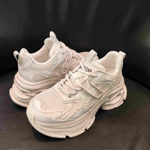 LFGJ19202脏脏老爹鞋 商品图2