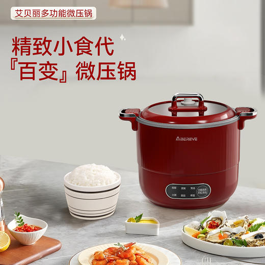 艾贝丽液体加热器（多用锅）ABL-WY1249 商品图0
