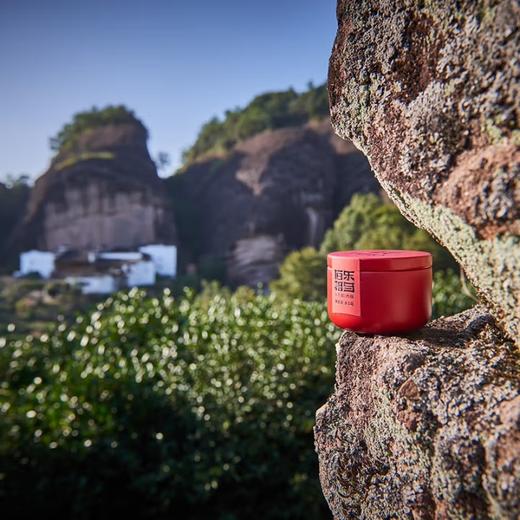 【分销】「玉女飞天·伯乐相马 马头岩肉桂」武夷山核心正岩茶 炭焙工艺岩骨花香 辛锐霸气回甘 限量春茶珍藏礼盒 商品图2