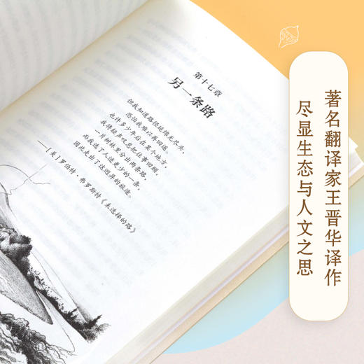 寂静的春天：通识图解版 商品图2