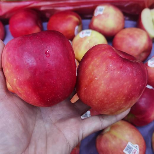 【进口】新西兰进口POSY小花苹果 脆甜多汁 商品图2