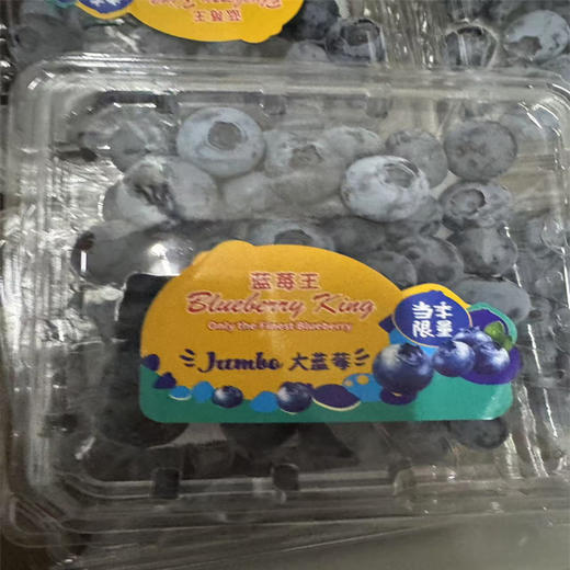 【8.8元/盒】蓝莓（18+）ZC（1501121） 商品图0
