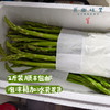 【预售，预计4.6日开始发货】露天生态芦笋（基地直发-顺丰包邮）|1kg/件，来自山东菏泽，生产者：孙喜梅【合作生产，公平贸易】 商品缩略图4